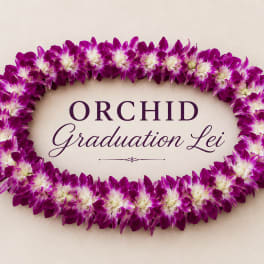Grad Hawaiian Double Lei