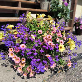 Patio Pot