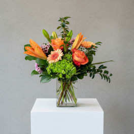 Blooms of The Season