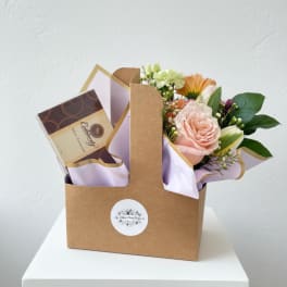 Chocolate Summer Bundle