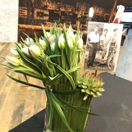 Tulip bouquet in a clear rectangular vase with a succulent accent