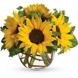 Bouquet of yellow sunflowers in a clear glass vase
