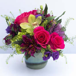 Petite Jewel Tones