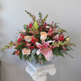 Angelina's Blooming Beauty