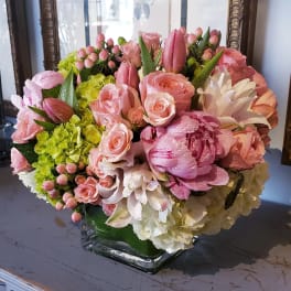 Spring in Paris