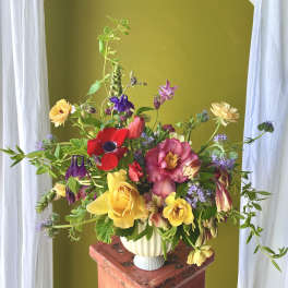Colorful Designer's Choice