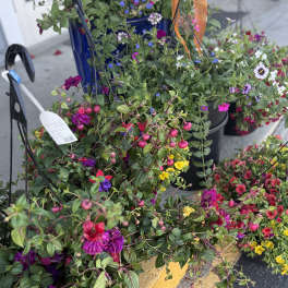 Outdoor hanging basket