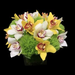 Yellow and white orchids arranged in a glass vase