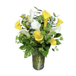 Lovely calla lilies