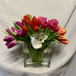 Low arrangement of red, pink, purple, and orange tulips with a white orchid in a clear square glass vase.