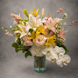Blushing Lilies