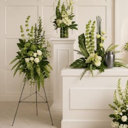 Tranquil Peace Collection