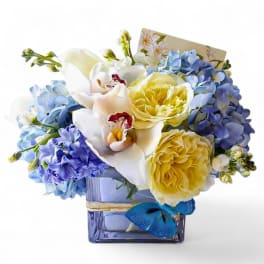 Blue Hydrangea Designer's Choice