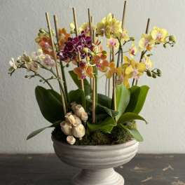Mother's Day Arrangement #5