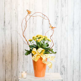 Yellow flowering plant in an orange pot with decorative branches, butterflies, and a chevron bow.