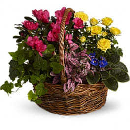 Basket of pink and yellow flowers with assorted foliage