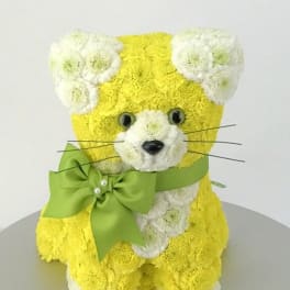 oasis cat with flowers