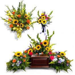 Vibrant Life Collection