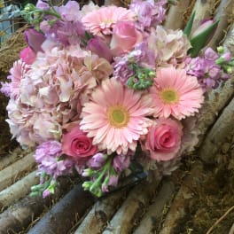 Pretty pastels