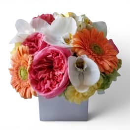 Just Because Cheerful Blossoms Bouquet Designer's Choice