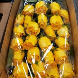 [TT-BOX48]: 4 DOZEN ROSES BOXED