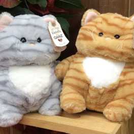 Kool Kitties