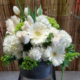 White Blossoms #1