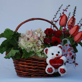 Basket of Love