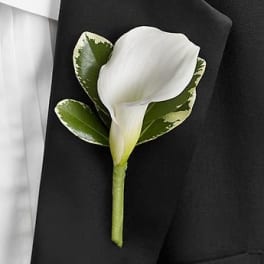 White calla lily boutonniere with variegated green leaves on a black suit lapel