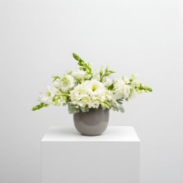 Grace and Ivory