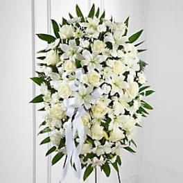 Tribute Spray