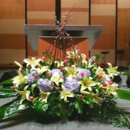 PODIUM ARRANGEMENT 50 [TTPOD50]