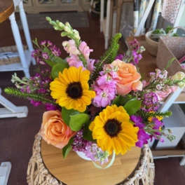 Cat Friendly Arrangement