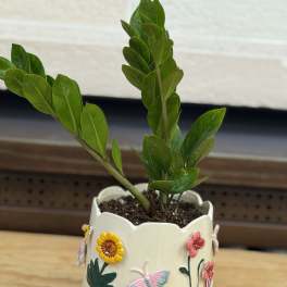 3D Flower Pot ZZ Plant