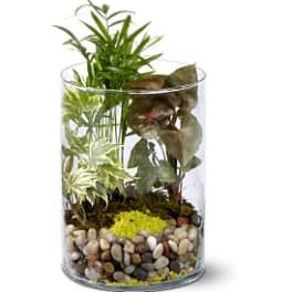 Garden in Glass