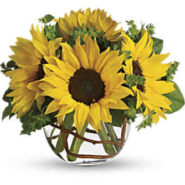 Sunny Sunflower