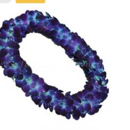 Blue Double Orchid Lei