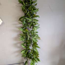 Ti leaf lei's by Kealoha lei's.
