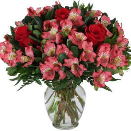 Valentine's Wish