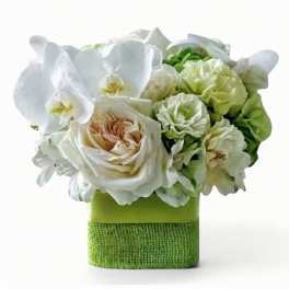 Healing Citrus Sunshine Bouquet - Get Well Flowers in Haddonfield & Haddon Township