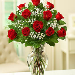 Rose Elegance Premium Long Stem 1 1/2doz Red Roses