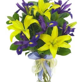 Lily & Iris Surprise