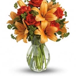 Fiery Lily and Rose