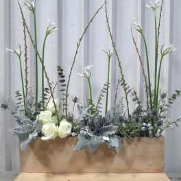 Designer's Choice: Winter Wonderland Screen