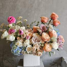 Your Beautfiul