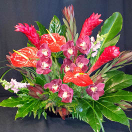 Tropical Triangle Bold and Bright, colors vary