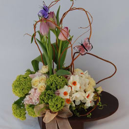 Spring Blooms