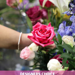 Classic Designers Choice 