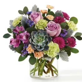 Botanical Dream