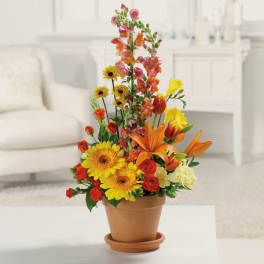 Tall mixed arrangement of yellow gerberas, orange lilies, and red roses in a terra-cotta pot